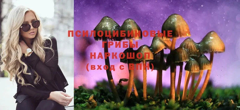 Галлюциногенные грибы Magic Shrooms  Сухой Лог 